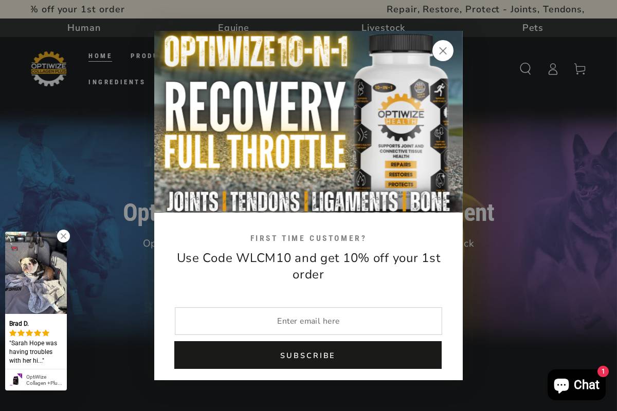 optiwizehealth.com homepage screenshot