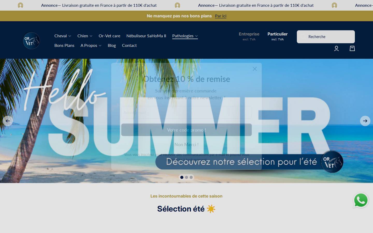 Or Vet homepage screenshot