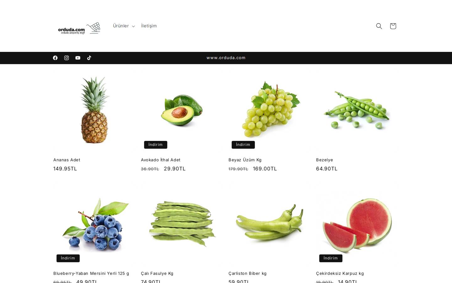 orduda.com homepage screenshot