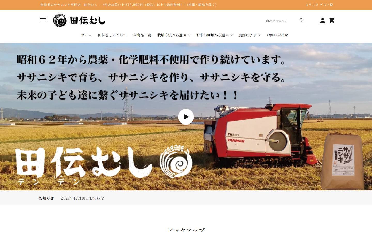 organic-rice999.com homepage screenshot