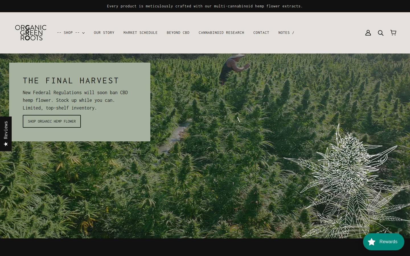 organicgreenroots.com homepage screenshot