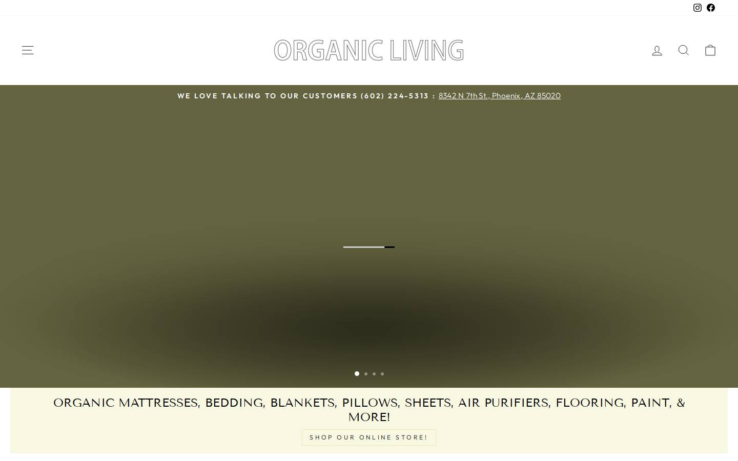 organiclivingaz.com homepage screenshot