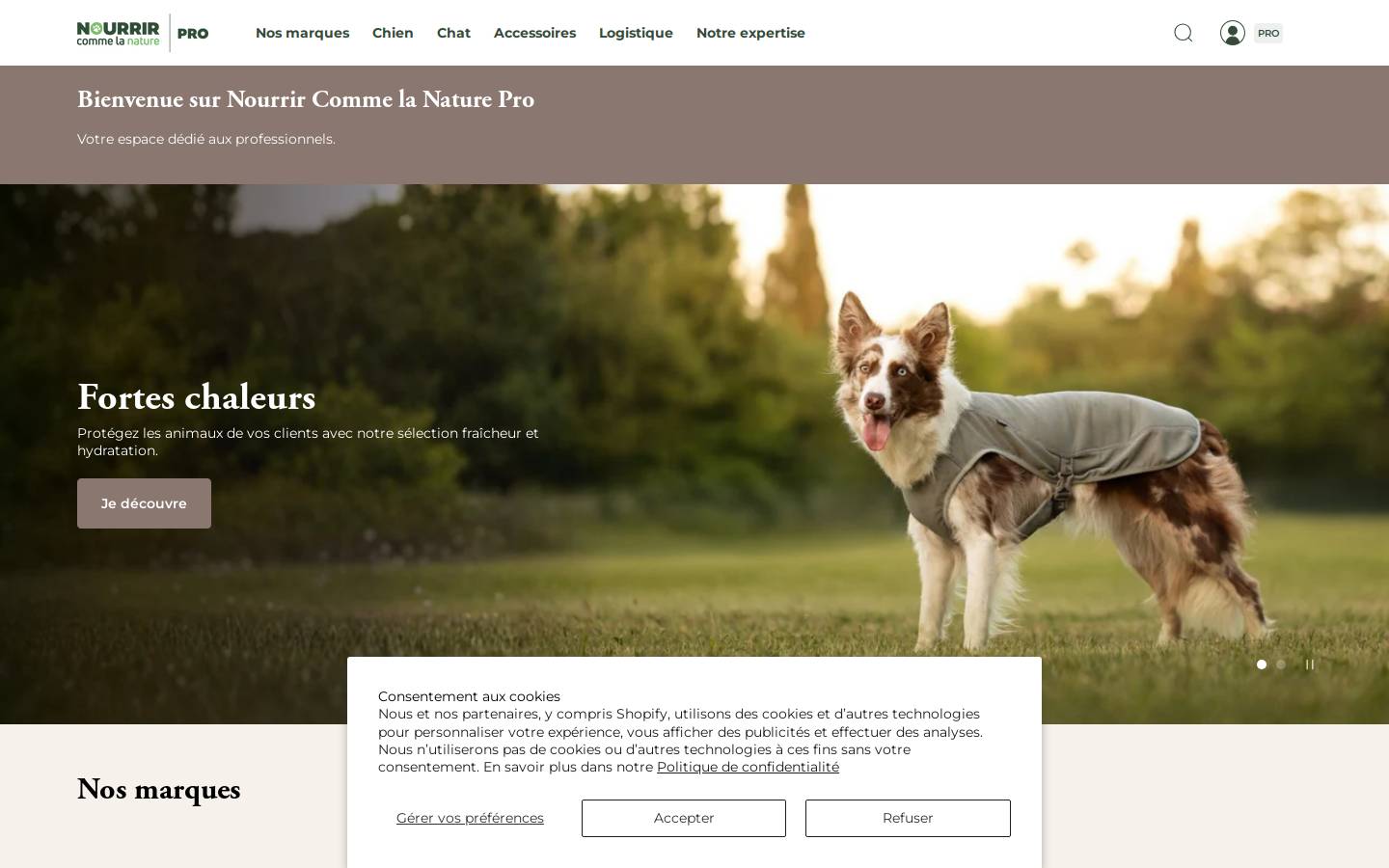 originaldog.fr homepage screenshot