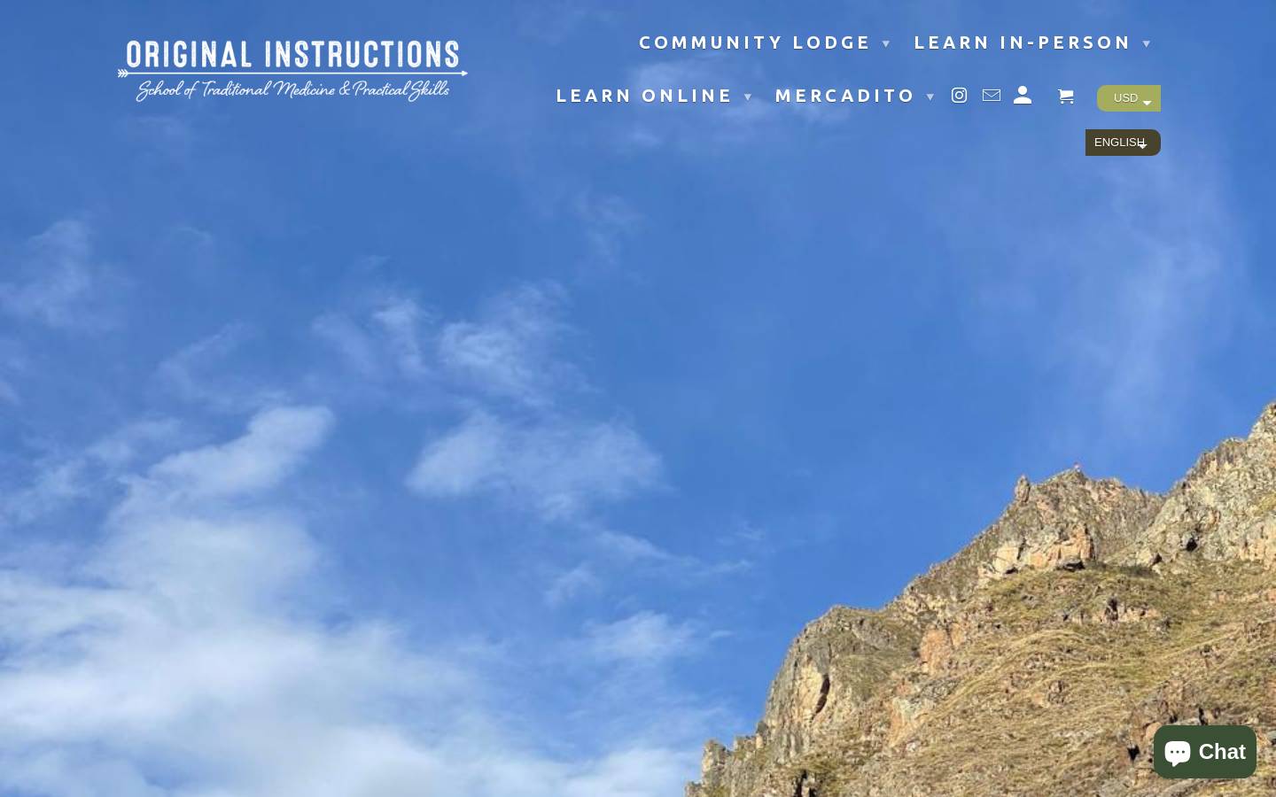 originalinstructionsschool.com homepage screenshot