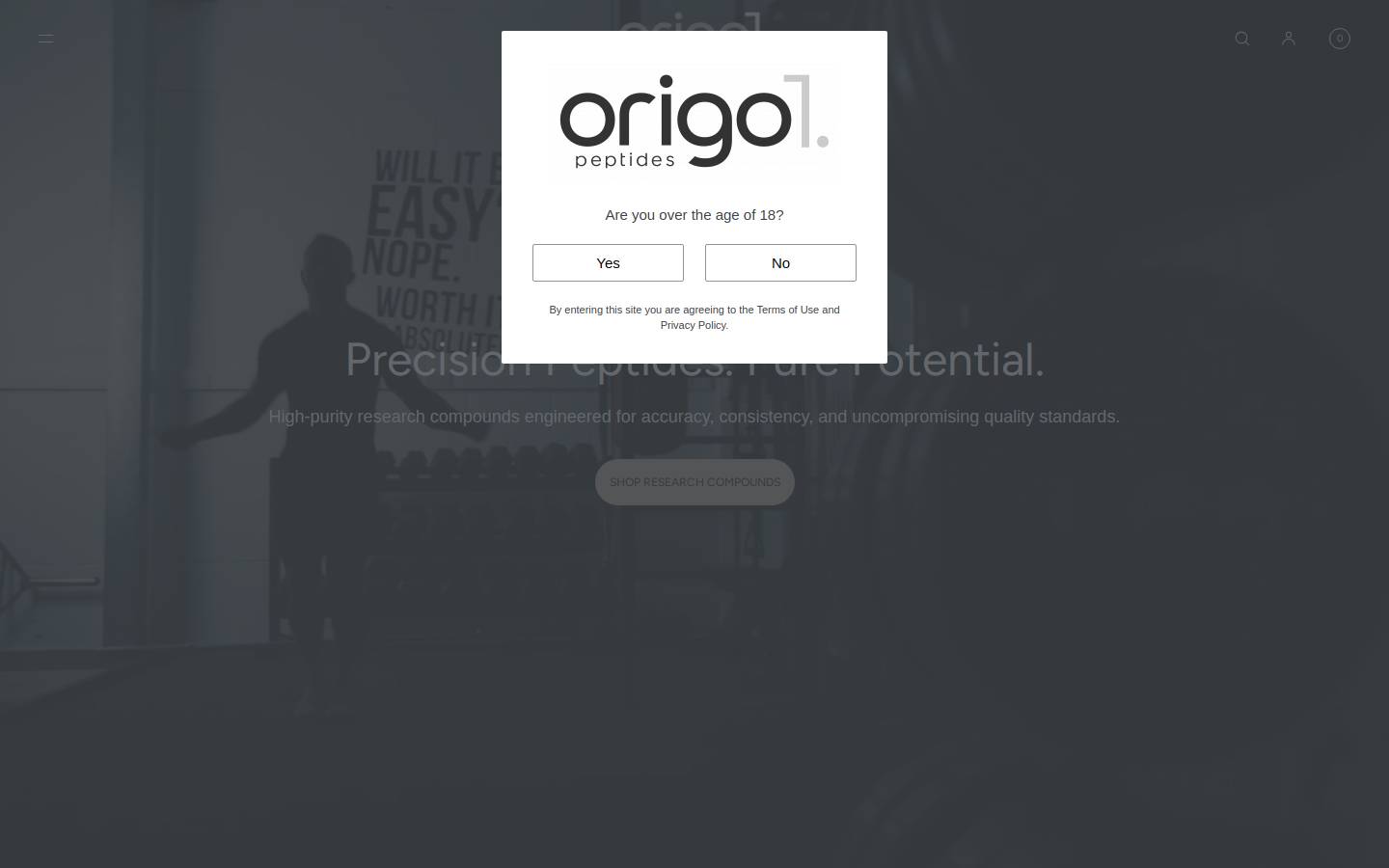 origo-1.com homepage screenshot