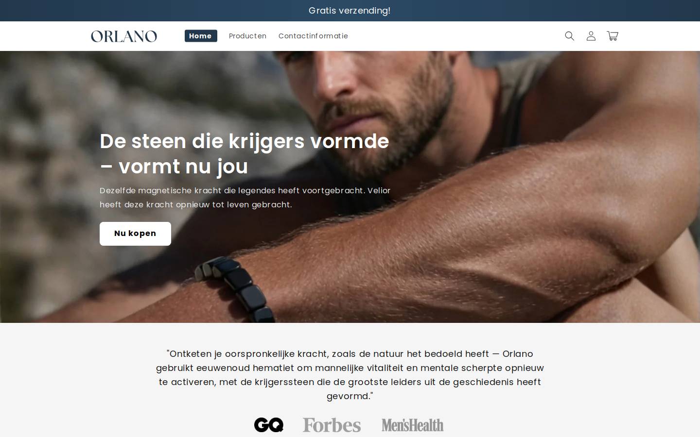 Orlano homepage screenshot