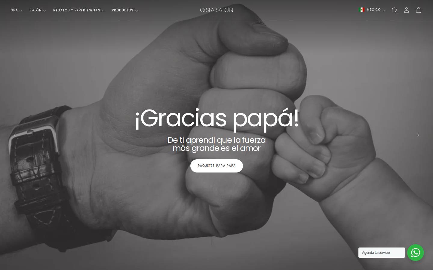 ospasalon.com.mx homepage screenshot