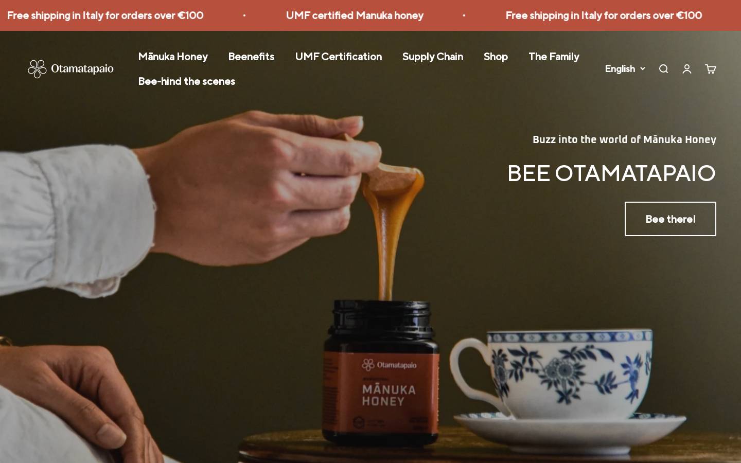 otamatapaio.com homepage screenshot