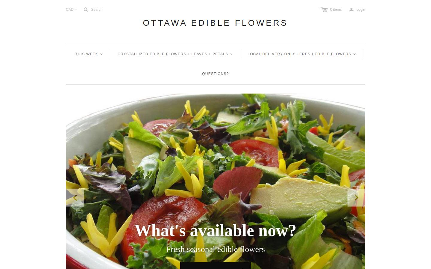 ottawaedibleflowers.com homepage screenshot
