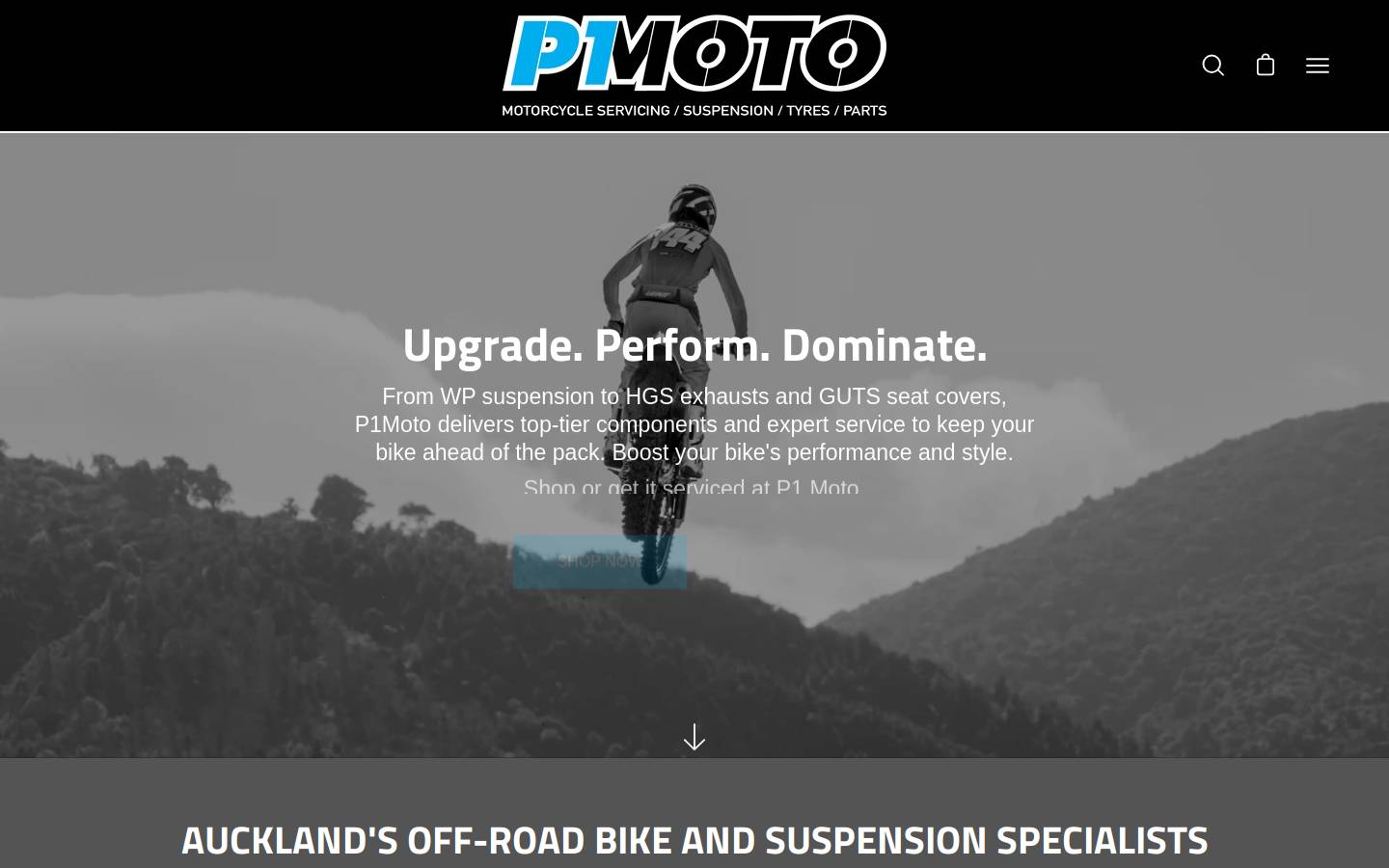 p1moto.co.nz homepage screenshot
