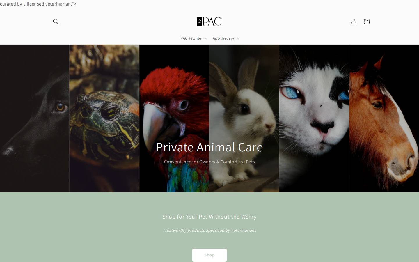 PAC Worldwide homepage screenshot