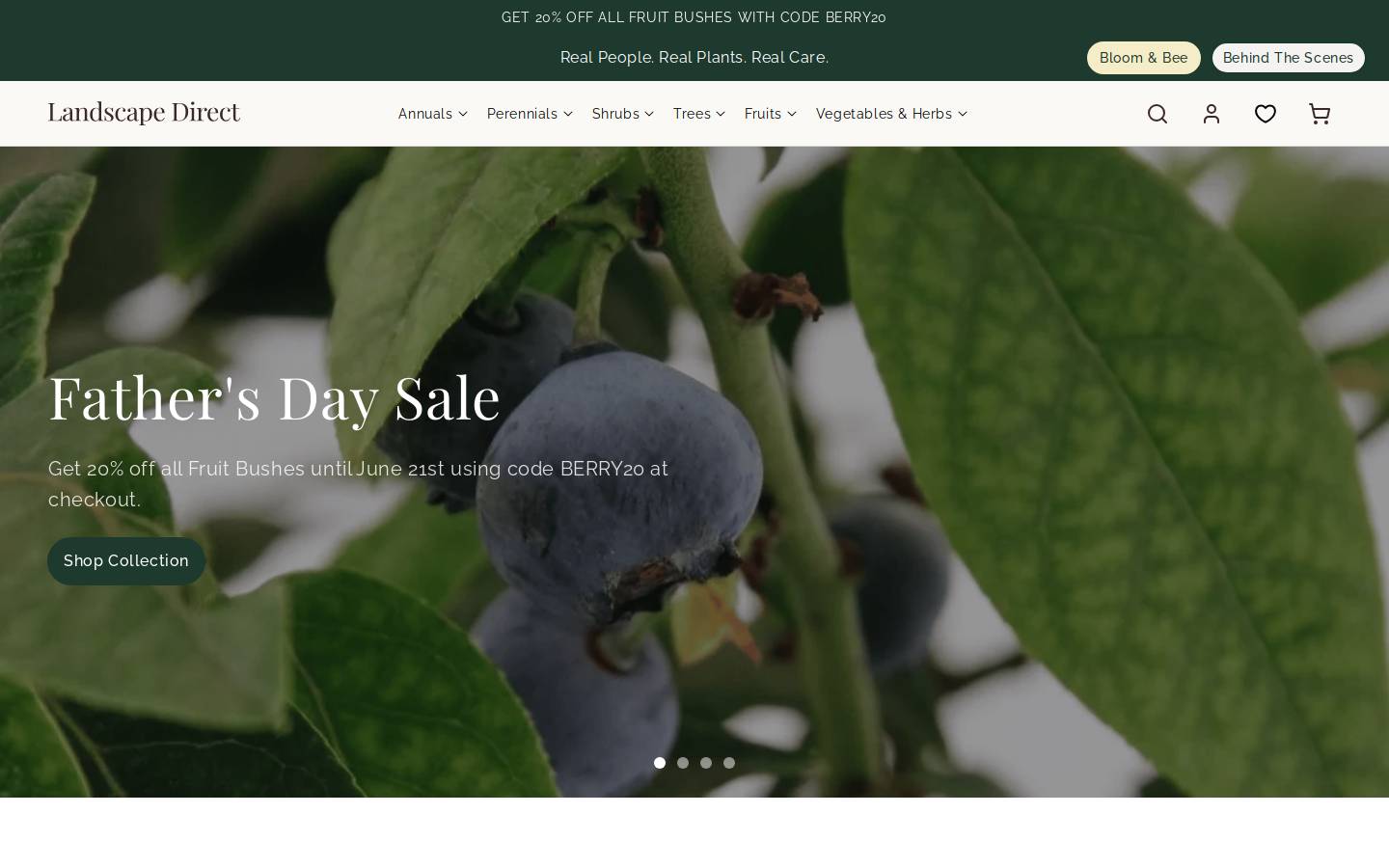 pacificroots.com homepage screenshot