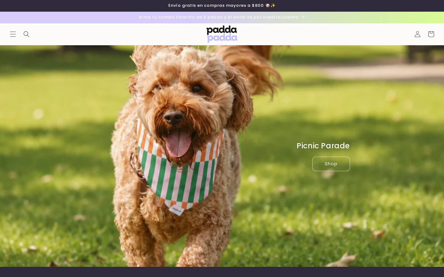 paddapadda.com homepage screenshot