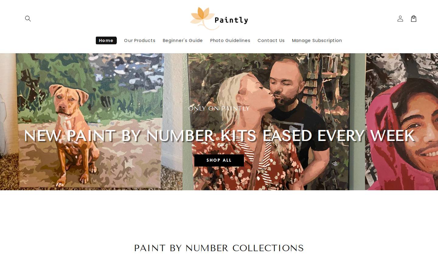 paintlyshop.com homepage screenshot