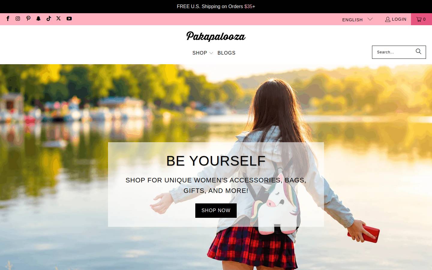 Pakapalooza homepage screenshot