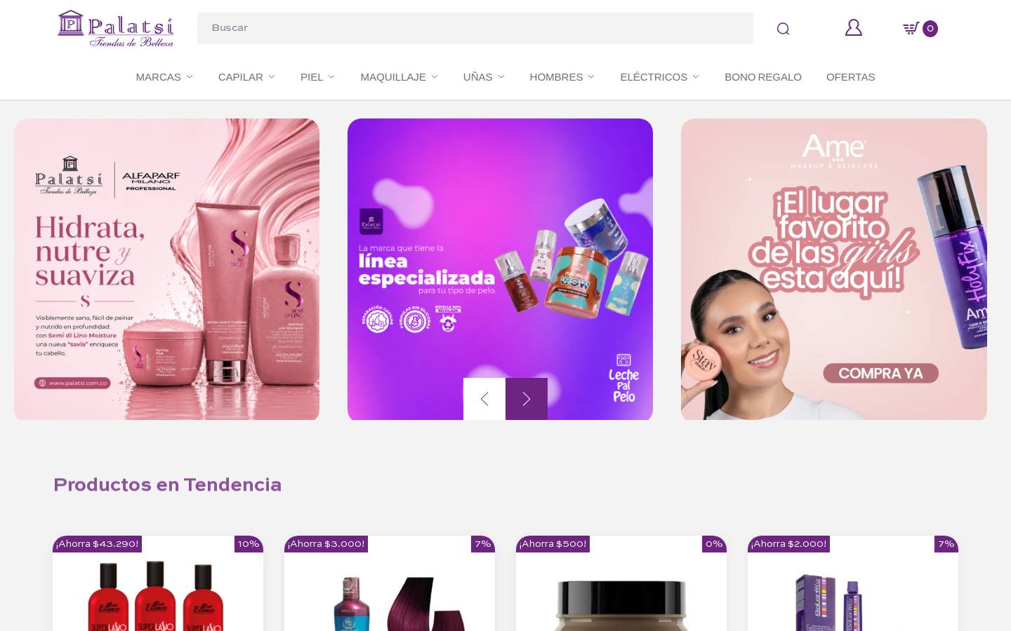palatsi.com.co homepage screenshot