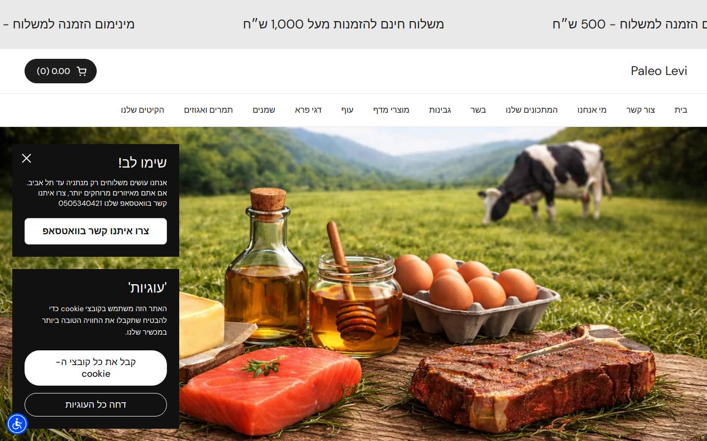 paleolevi.com homepage screenshot