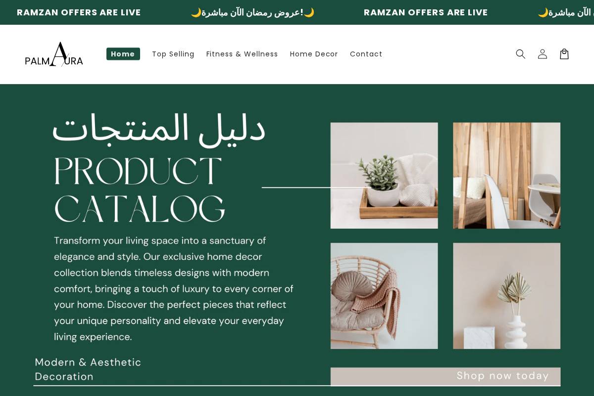 palmaura.online homepage screenshot