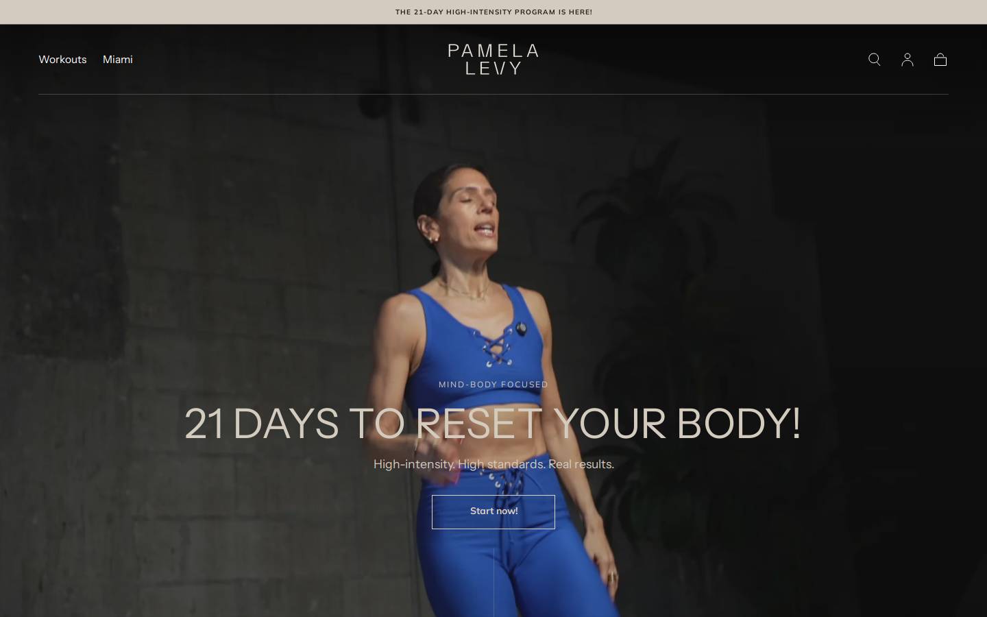 pamlevy.com homepage screenshot