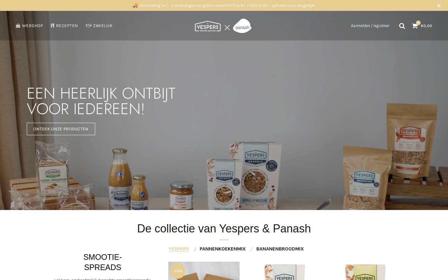 panash.nl homepage screenshot