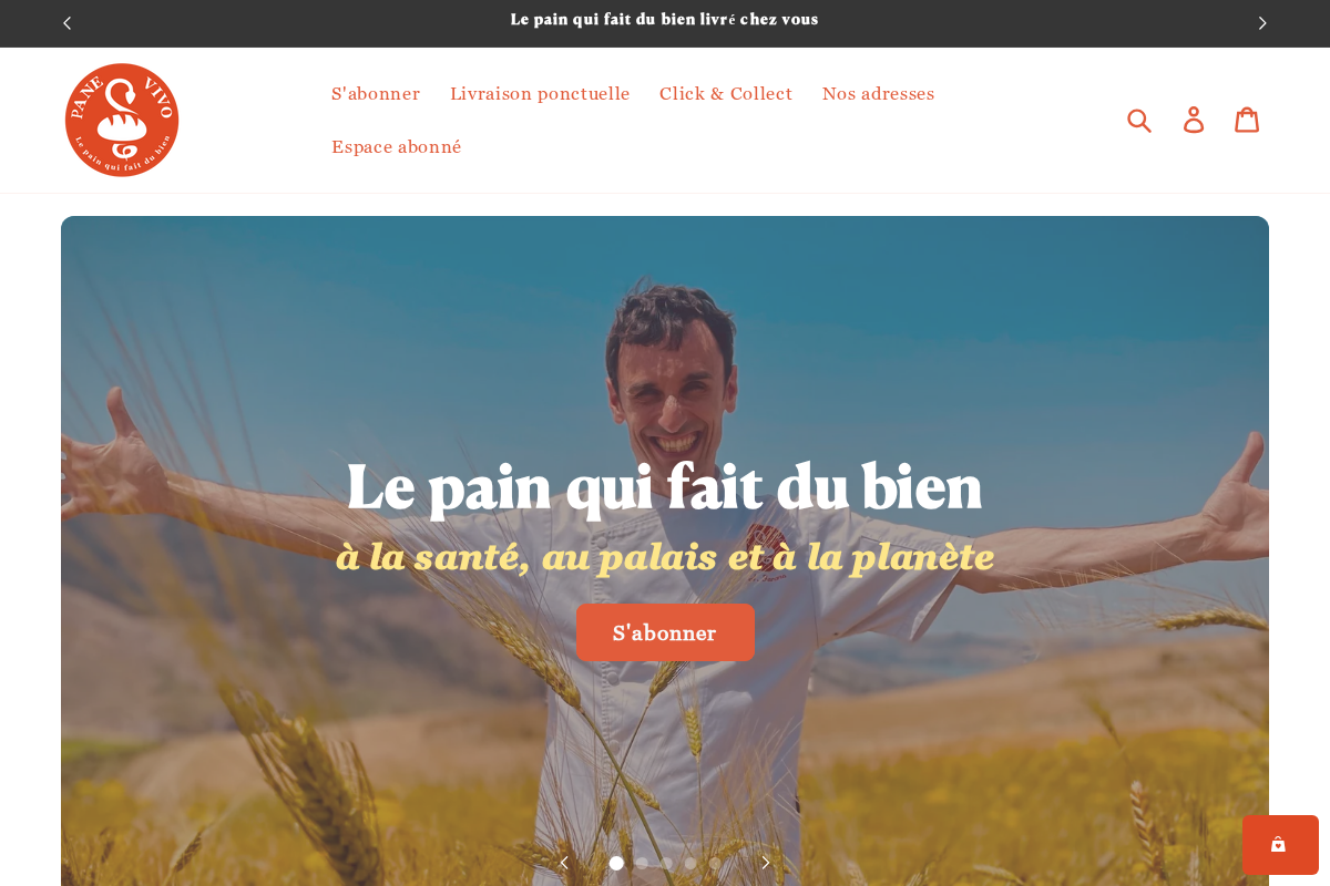 Pane Vivo homepage screenshot