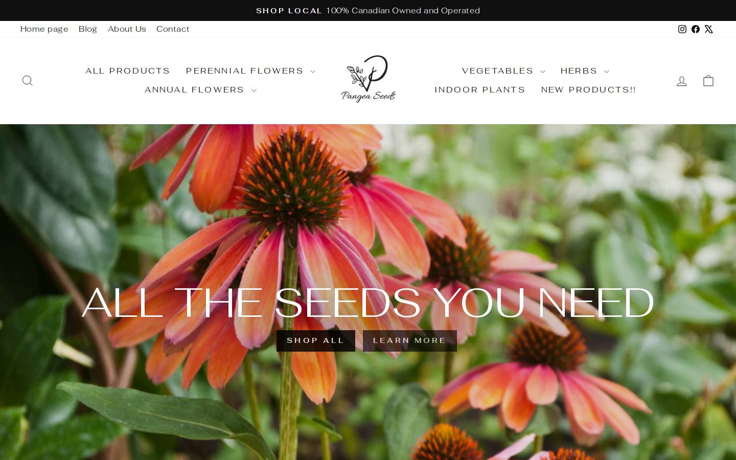 pangeaseeds.com homepage screenshot