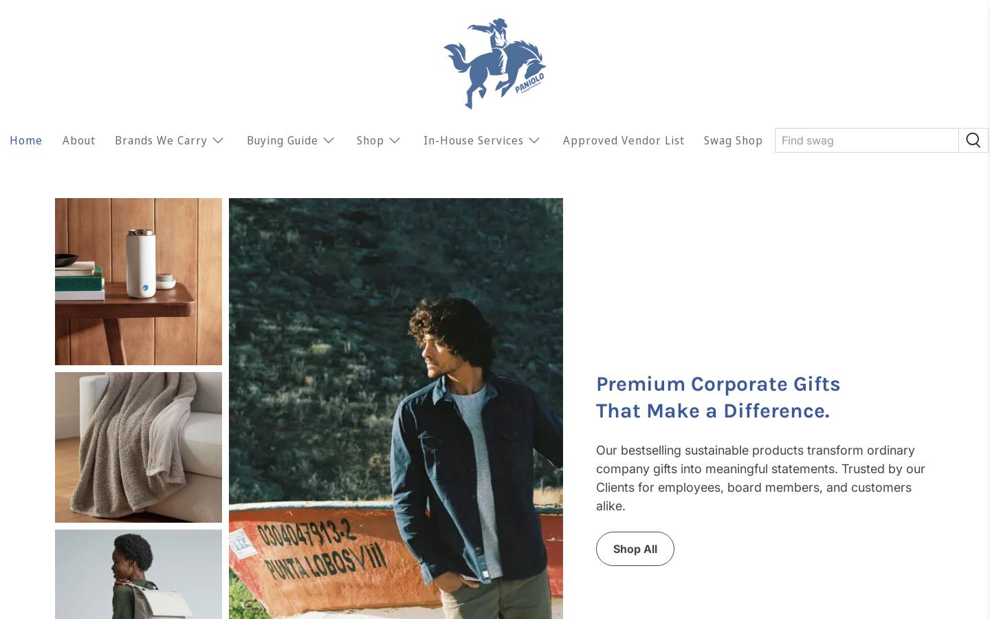 panioloprinting.com homepage screenshot