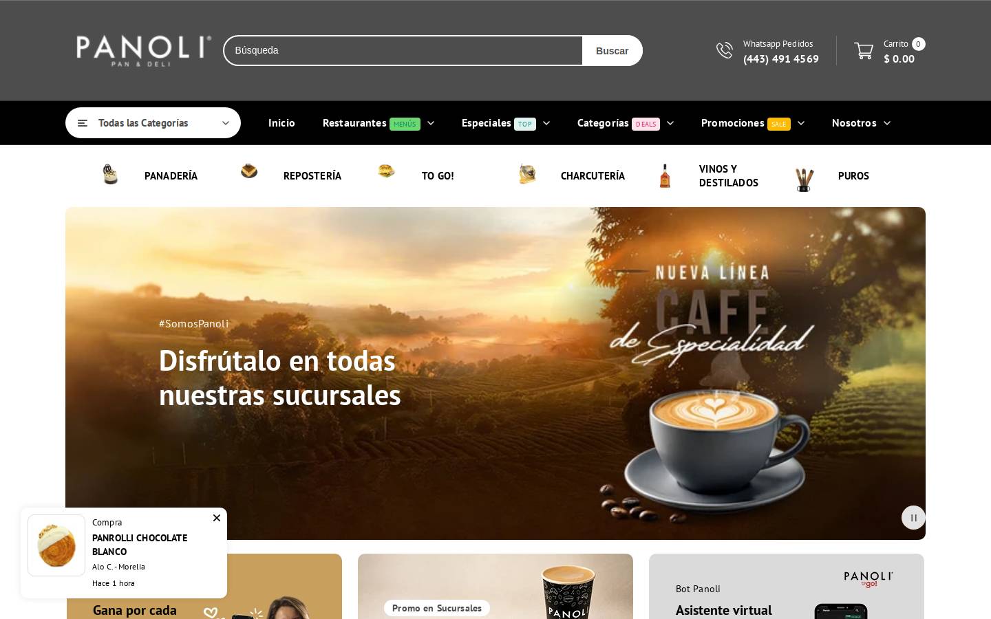 panoli.mx homepage screenshot