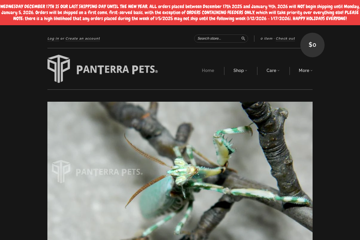 PanTerra Pets homepage screenshot