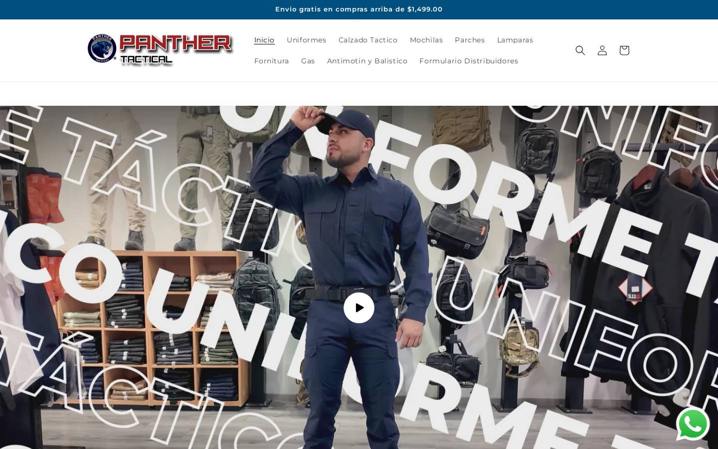 panther.mx homepage screenshot
