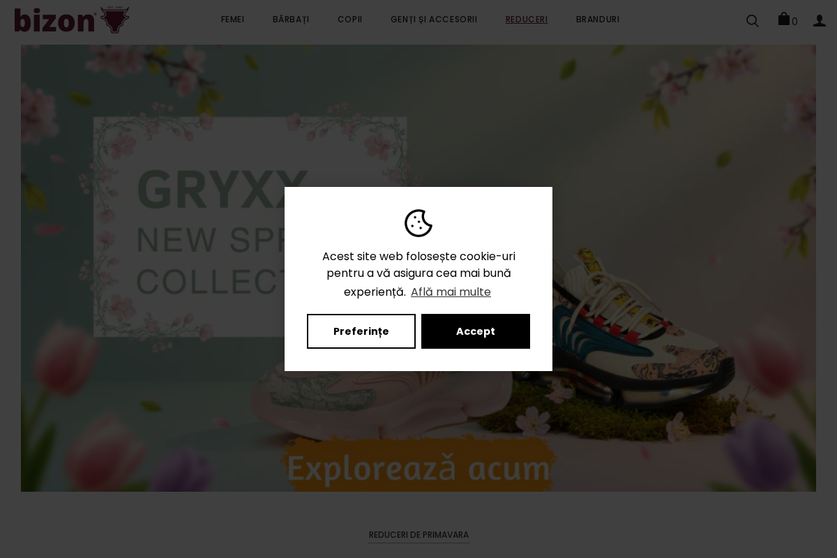 Pantofi Bizon homepage screenshot