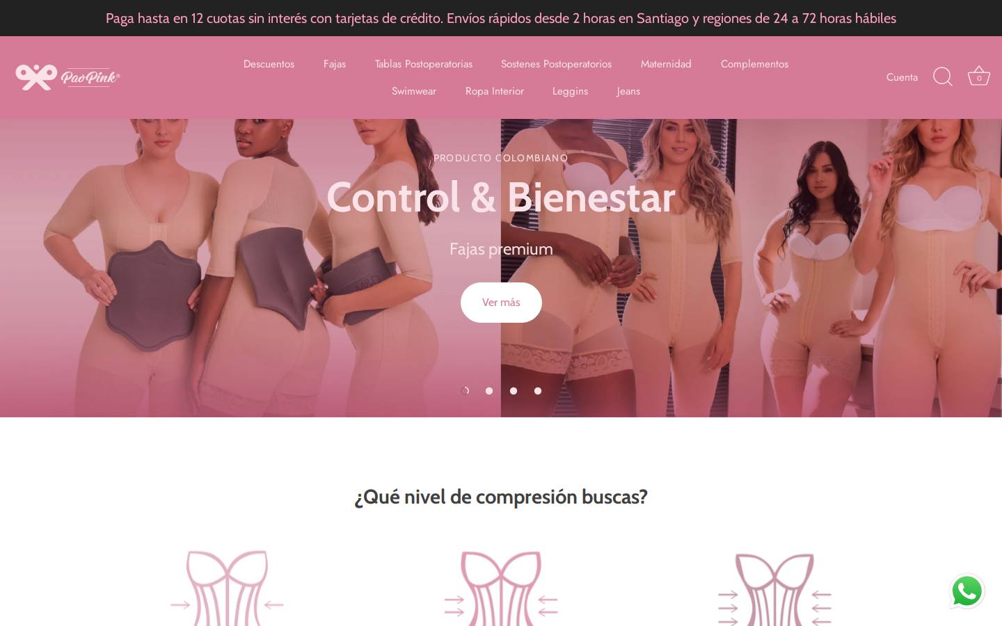 paopink.cl homepage screenshot