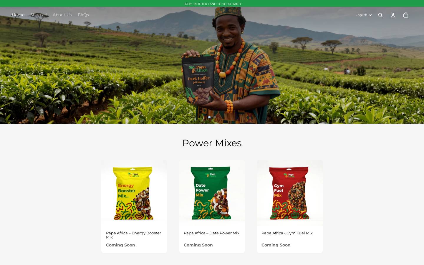 papaafrica.co homepage screenshot