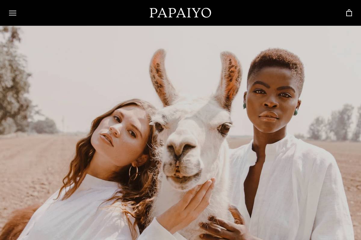 papaiyo.com homepage screenshot