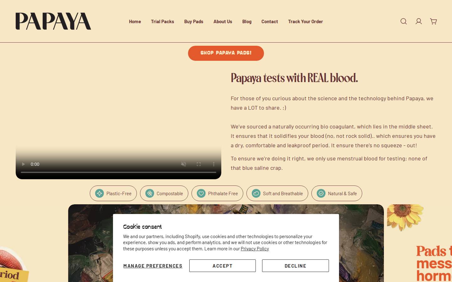 papayapads.com homepage screenshot