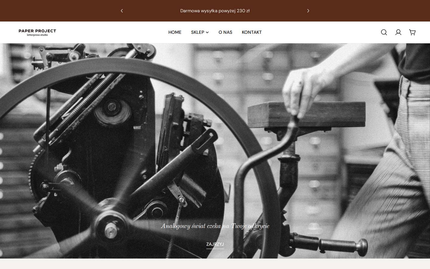 paper-project.pl homepage screenshot