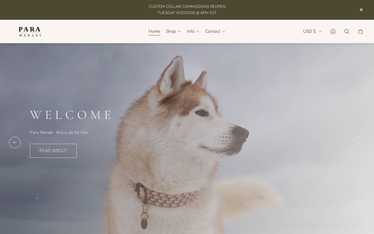 parameraki.com homepage screenshot
