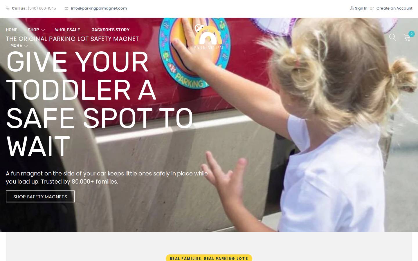 parkingpalmagnet.com homepage screenshot