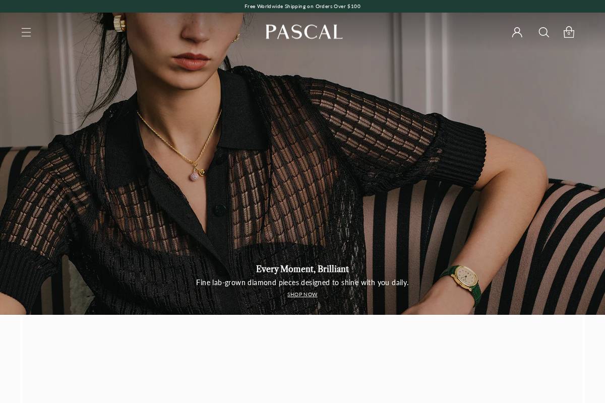 Pascal Design homepage screenshot