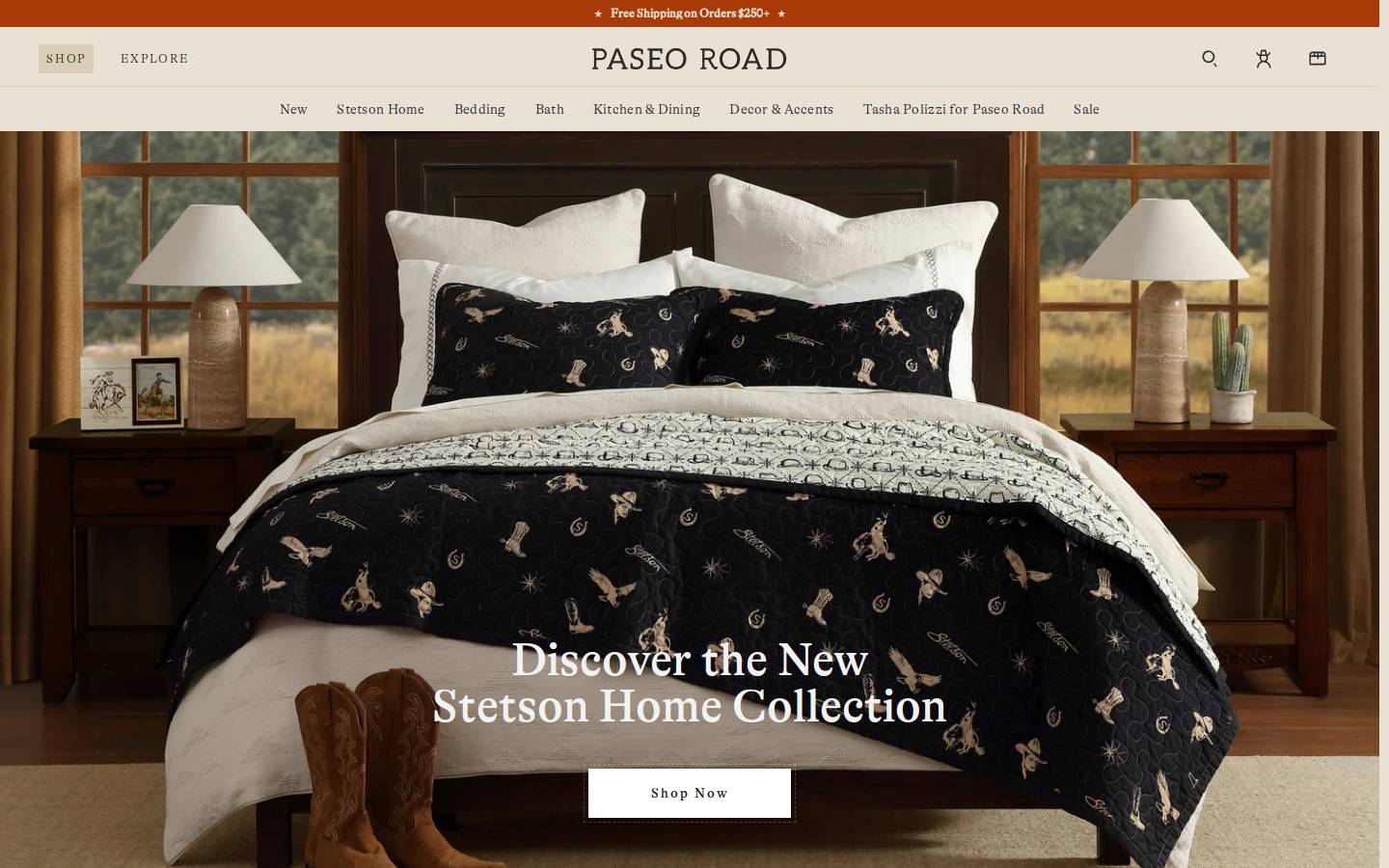 Paseoroad homepage screenshot