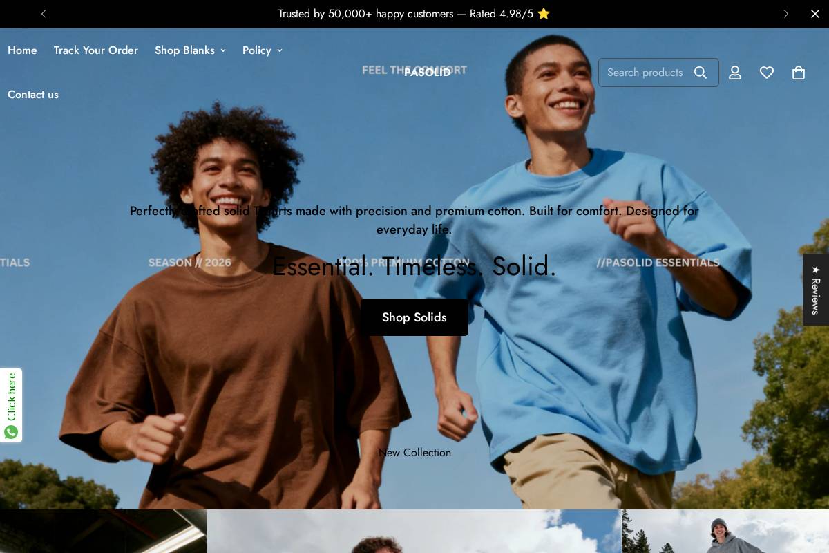 pasolid.com homepage screenshot