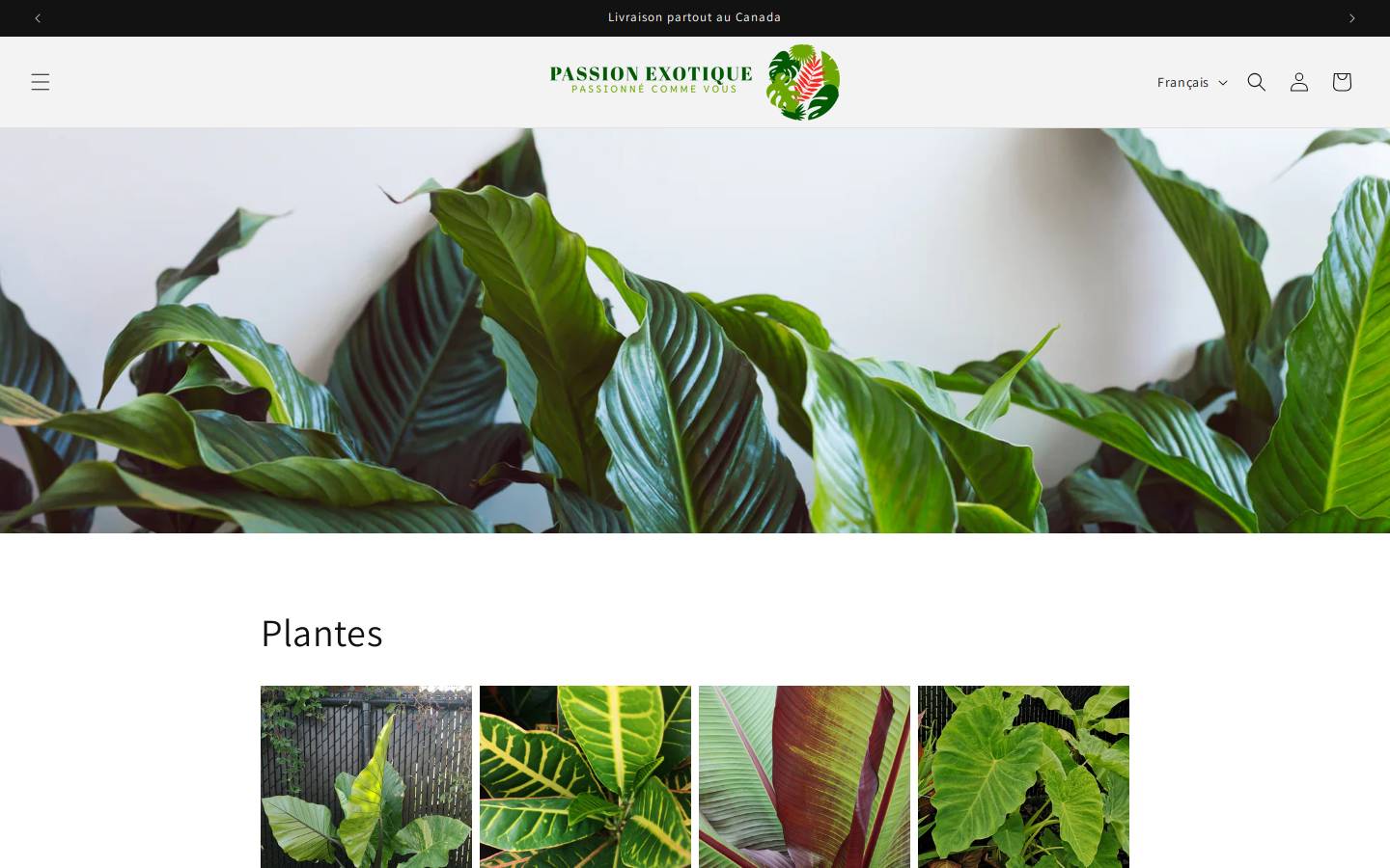 passionexotique.com homepage screenshot