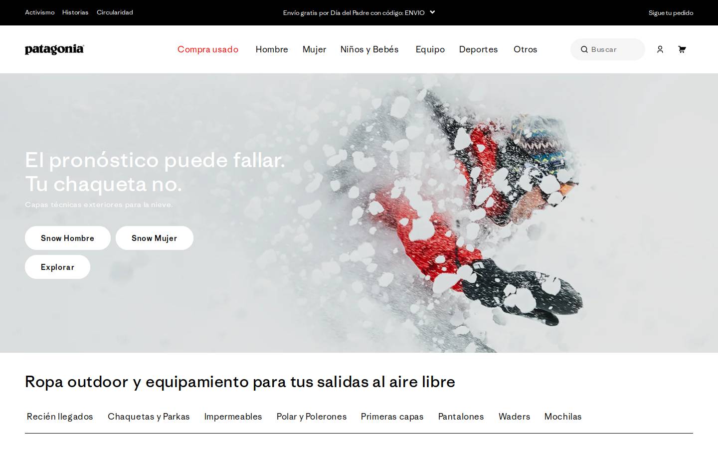 Patagonia homepage screenshot