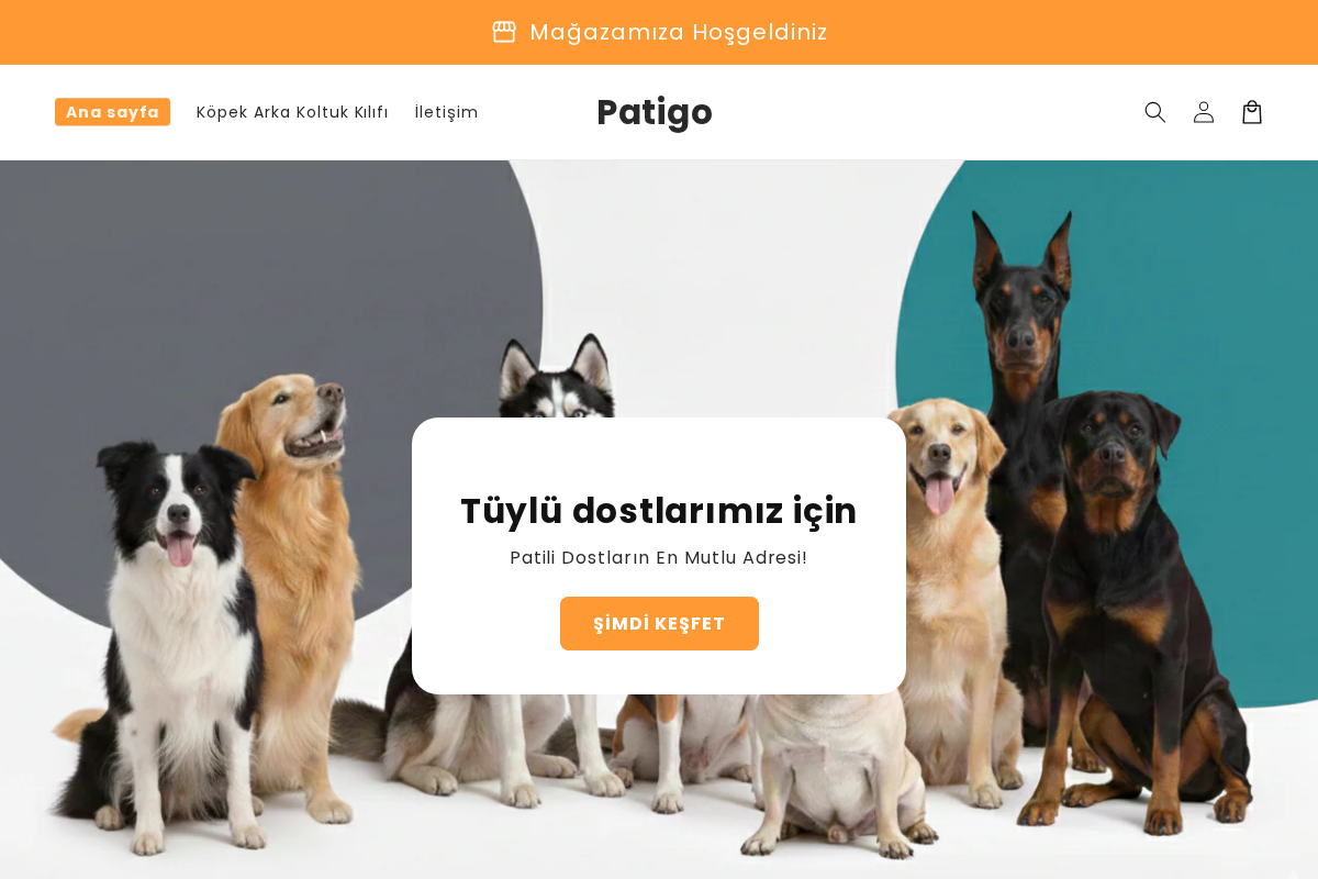 Patigo homepage screenshot