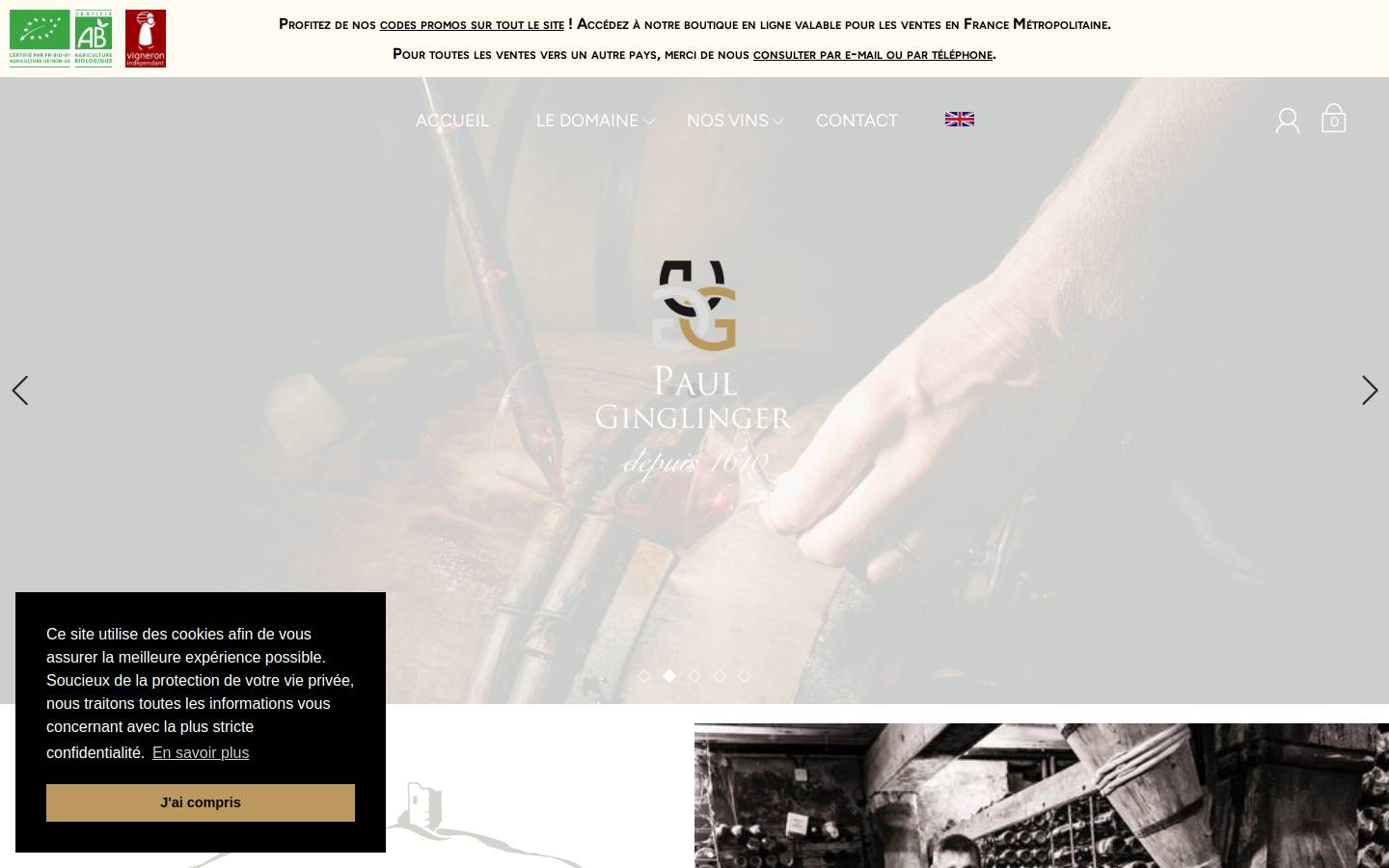 paul-ginglinger.com homepage screenshot