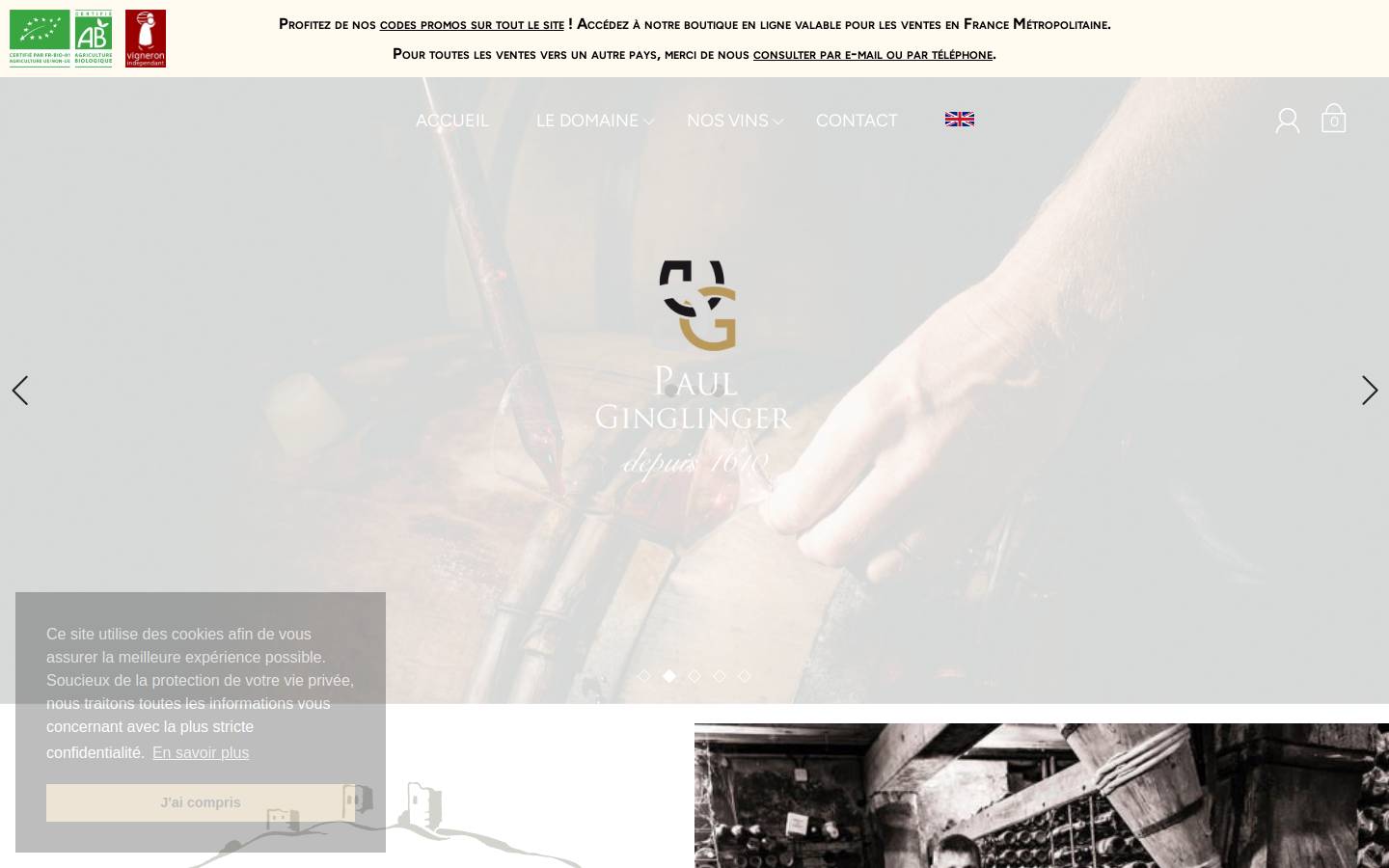 paul-ginglinger.fr homepage screenshot