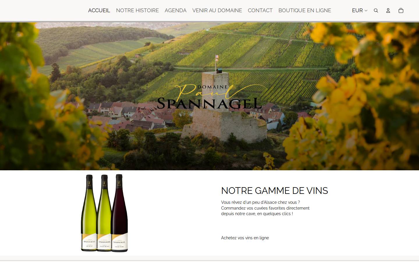 paulspannagel.com homepage screenshot