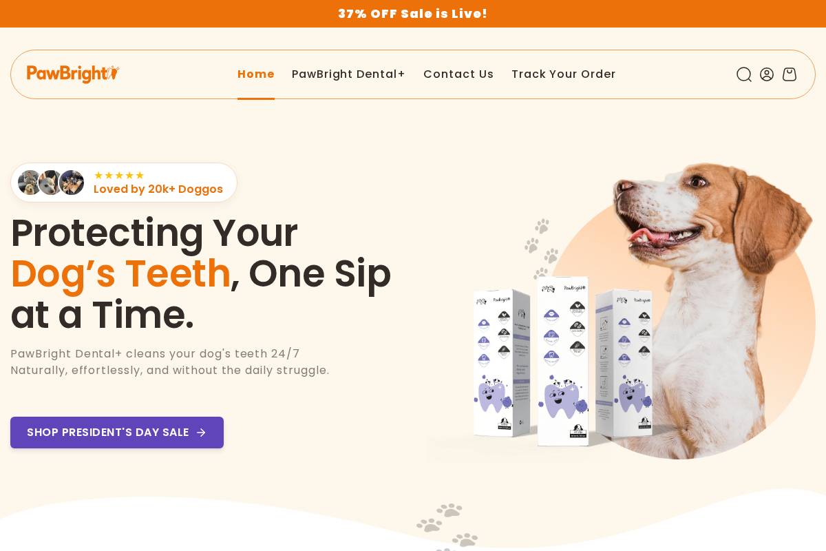 PawBright homepage screenshot