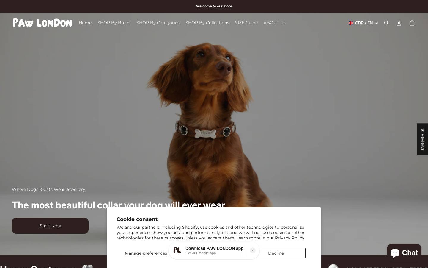 Pawlondon homepage screenshot