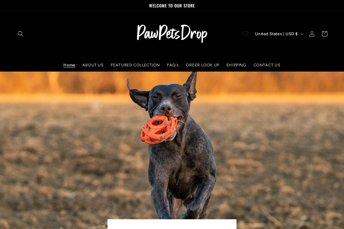 PawPetsDrop homepage screenshot